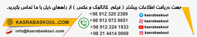 تماس با تاجر باسکول عبدالرضا کسری‌ برای خرید باسکول فرغونی